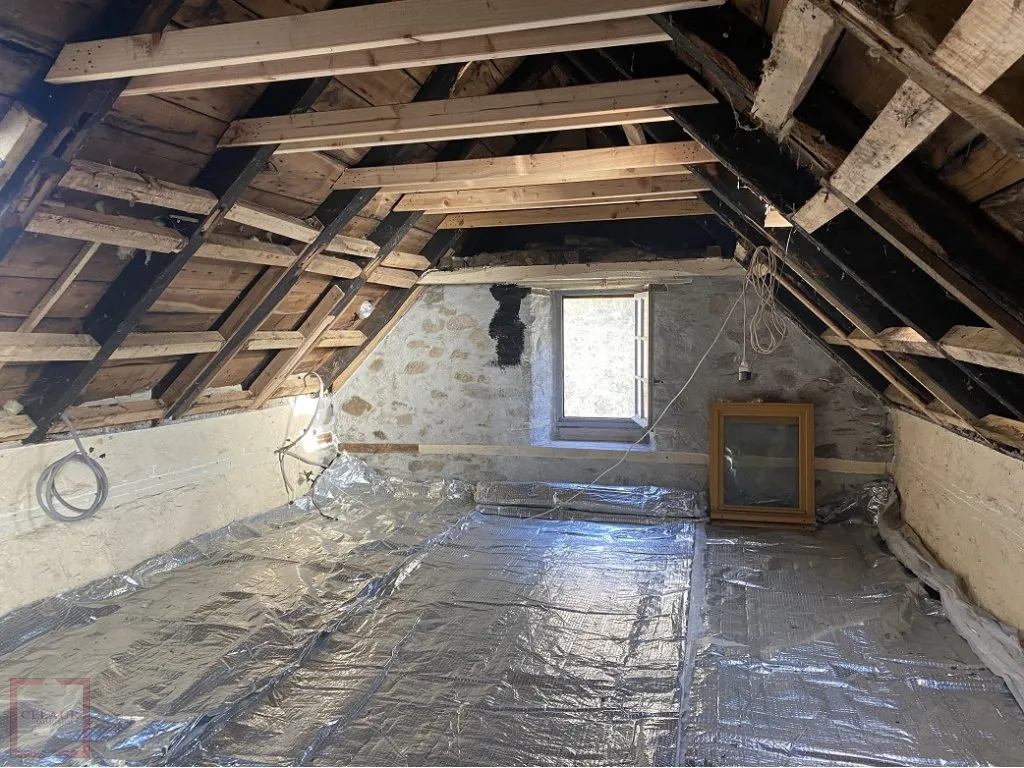 ANCIEN MOULIN A FINIR DE RESTAURER SUR 9HA