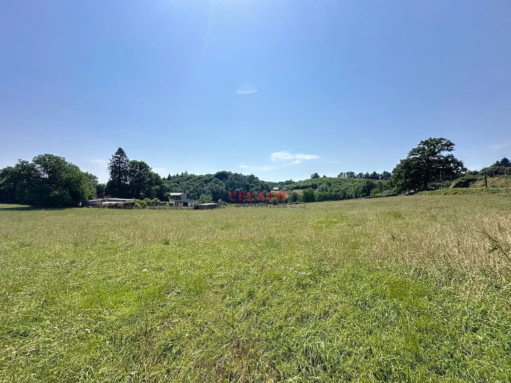 Terrain d’1 hectare - bourg de Chameyrat