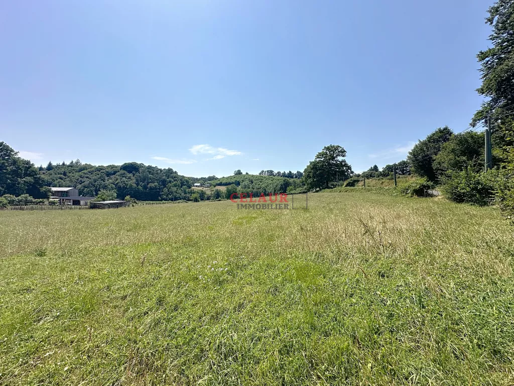 Terrain d’1 hectare - bourg de Chameyrat